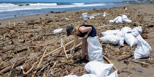 Aksi Turis Asing Bersihkan Sampah di Tepi Pantai Bali