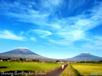 gunung sindoro