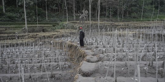 Operasi Pencarian Korban Gunung Semeru Diperpanjang, Tim SAR Fokus di Lima Lokasi