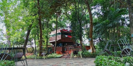 Tak Banyak yang Tahu, Ini Potret Kafe Unik di Tengah Hutan Kota Jakarta