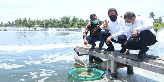 Indonesia Jajaki Kerja Sama dengan Portugal di Bidang Pengolahan Ikan