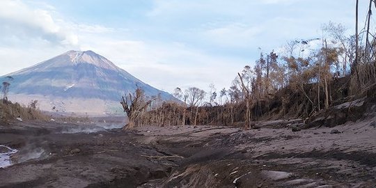 Gunung Semeru Luncurkan Awan Panas Guguran Sejauh 4,5 Km