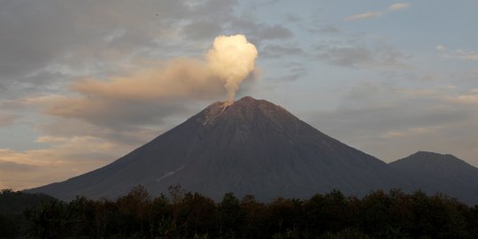 Status Tanggap Darurat Bencana Erupsi Gunung Semeru Diperpanjang 7 Hari