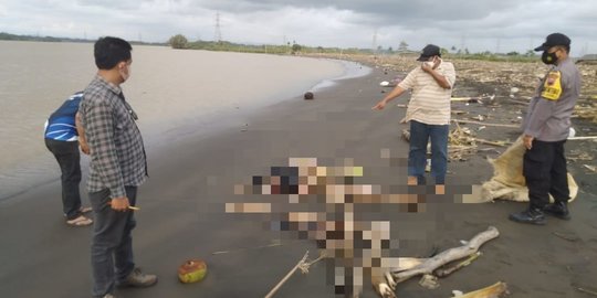 Jasad Sejoli Korban Tabrakan di Nagreg Ditemukan di Sungai Serayu Banyumas-Cilacap