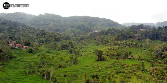 Mengunjungi Kampung Parakan Panjang di Tasikmalaya, Dihiasi Sawah Terasering Indah