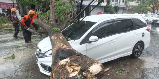 Cara Klaim Kendaraan Tertimpa Pohon Tumbang di Jakarta