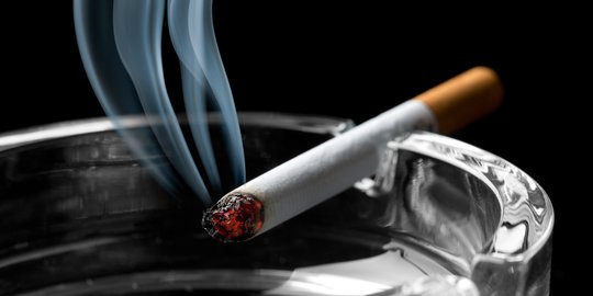 Kenaikan Harga Picu Peredaran Rokok Ilegal, Ini Sanksi Bagi Pelaku