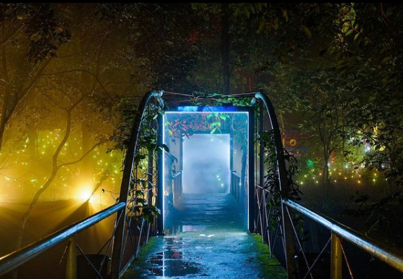 suasana hutan menyala tahura djuanda bandung