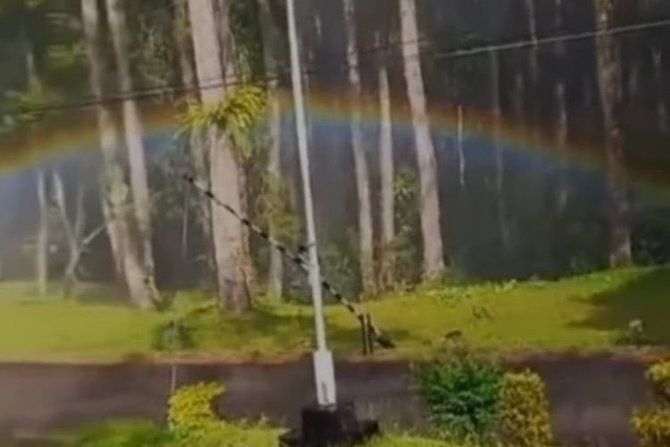 pria kejar pelangi