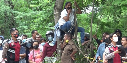 Lihat Rekonstruksi Kasus Pembunuhan Ibu dan Anak di Kupang, Warga Nekat Panjat Pohon