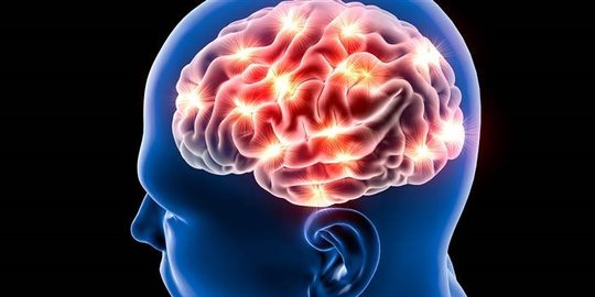 Fungsi Otak Tengah Menurut Islam, Ini Faktanya