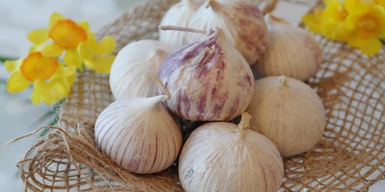 5 Efek Samping Bawang Putih Tunggal, Perhatikan Jumlah Konsumsi Jangan Berlebihan