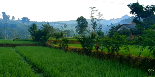 Desa di Blitar ini Sungguh Indah, Lihat Potretnya Rapi & Cantik bak di Swiss