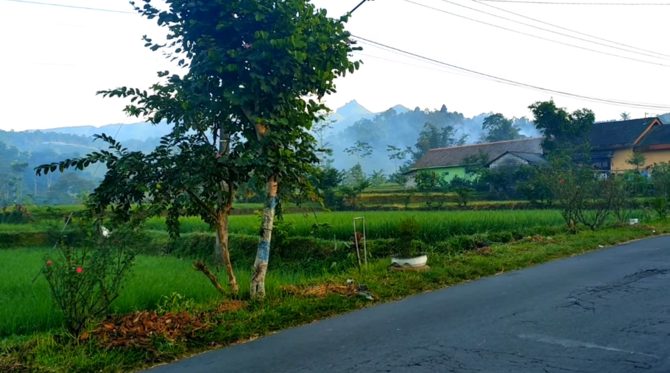 desa di blitar ini sungguh indah