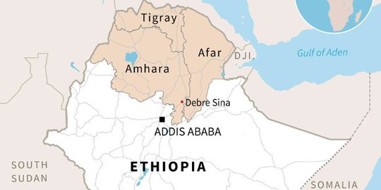 Pemerintah Ethiopia Klaim Rebut Kota Tigray dari Pemberontak