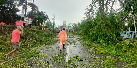 Hujan Deras dan Angin Kencang Tumbangkan Sejumlah Pohon di Tangerang