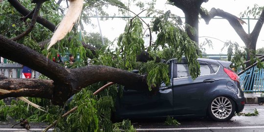 Cuaca Ekstrem, Pohon-Pohon Bertumbangan Timpa Mobil di Tangerang