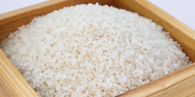 Satu mud berapa kilo beras