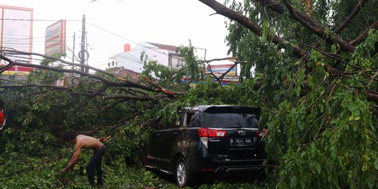 Pemkot Tangerang Buka Posko Klaim Asuransi Korban Pohon Tumbang