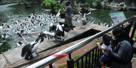 9.798 Warga Kunjungi Ragunan Pada Libur Natal 2021