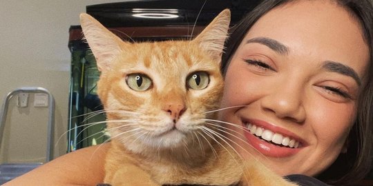 4 Potret Haico VDV 'Buku Harian Seorang Istri' bareng Kucing Kesayangan, Bikin Gemas