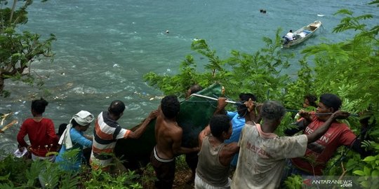 Gelombang 4 Meter Diprakirakan Terjadi di Perairan Maluku, BMKG Minta Warga Waspada