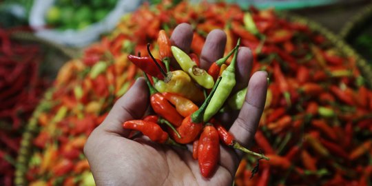 Harga Cabai di Pasar Anyar Tangerang Tembus Rp110 Ribu per Kilogram