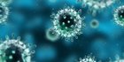 Kenali Ciri-Ciri Virus yang Paling Umum, Lengkap dengan Pengertiannya
