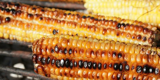 7 Cara Membuat Jagung Bakar yang Enak dan Gurih, Cocok untuk Rayakan Tahun Baru