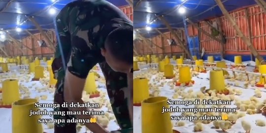 TNI Ini Kerja Keras Demi Masa Depan, Usai Dinas Langsung Beternak Ayam