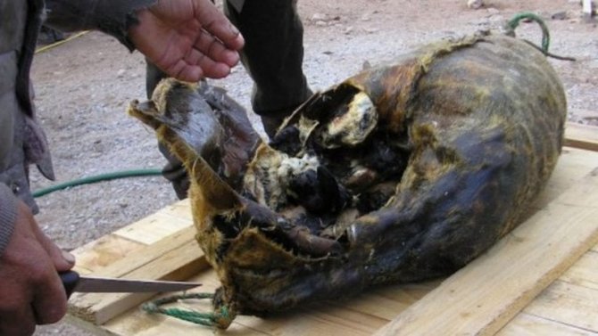 makanan teraneh di dunia