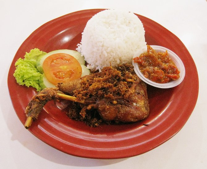 ilustrasi bebek goreng