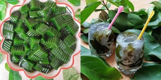 6 Resep Praktis Membuat Cincau Hijau Jadi Minuman & Hidangan Penutup Nikmat