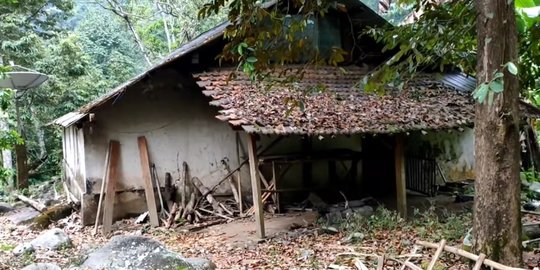 Potret Rumah Berdiri di Tengah Hutan Mojokerto, Adanya Parabola jadi Sorotan