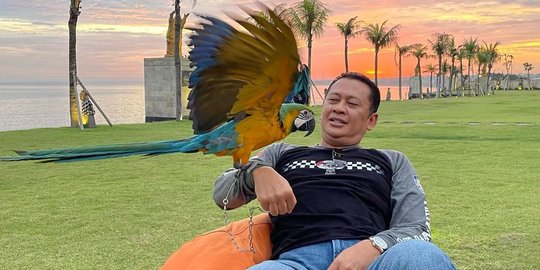 Kongkow Mewah Ala Ketua MPR Bambang Soesatyo, Menikmati Senja Bareng Kolega di Bali