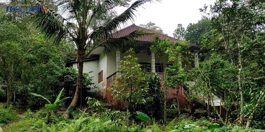 Potret Rumah Mewah Tersembunyi di Tengah Hutan Mojokerto, Tertutup Semak Belukar