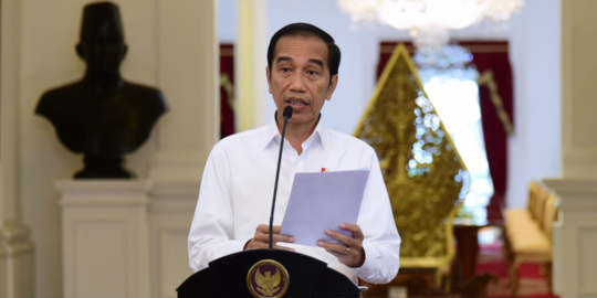 Jokowi Cabut Izin 2.078 Perusahaan Tambang