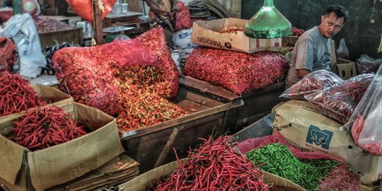 Harga Cabai Perlahan Turun