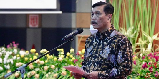 Menko Luhut: Masa Kritis Pasokan Batubara PLTU Sudah Lewat