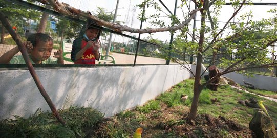 Bermain Sambil Mengenal Satwa di Taman Jalur Hijau Kosambi