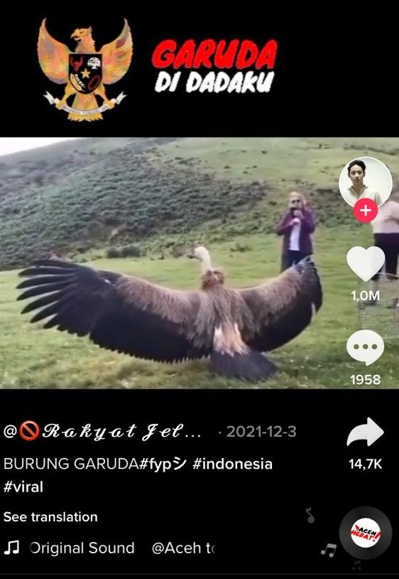 tidak benar video penampakan burung garuda