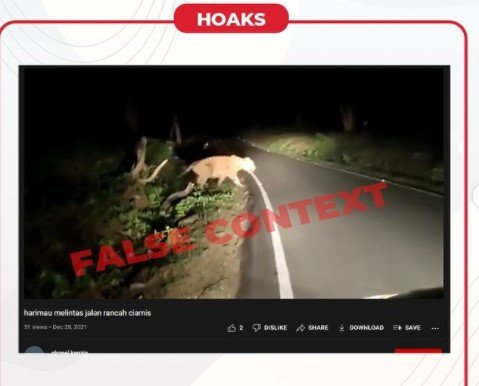 hoaks video harimau melintas di jalur cisaga rancah cianjur