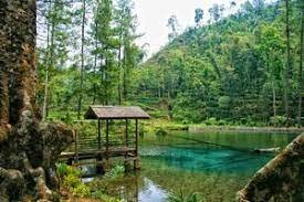 ikan purba di telaga rambut monte blitar