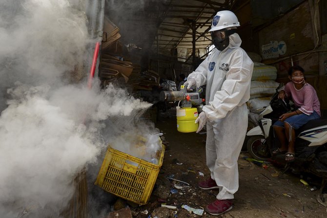 fogging nyamuk demam berdarah di pancoran