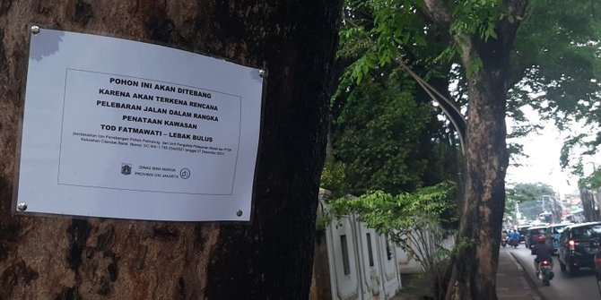 Puluhan Pohon di Jalan RS Fatmawati akan Ditebang untuk Pelebaran Jalan