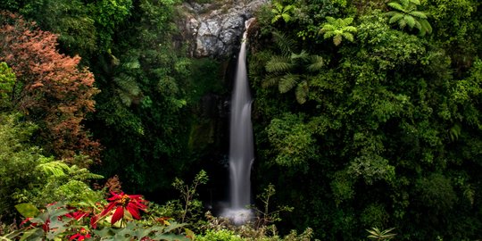 Unik dan Eksotis, 3 Air Terjun di Tapanuli Tengah Ini Wajib Dikunjungi Wisatawan