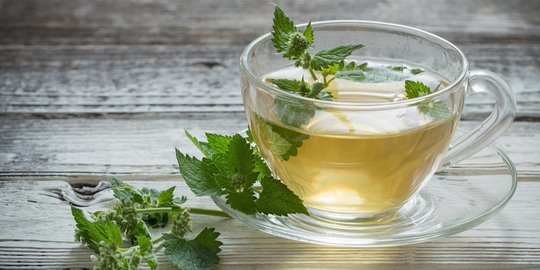 spearmint dan gunakan minyak esensial rev1