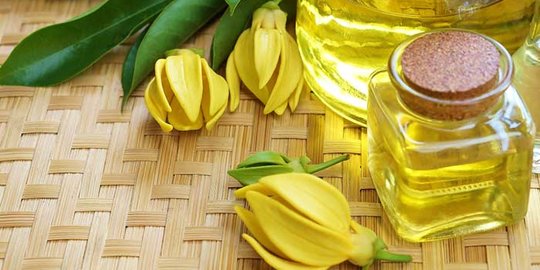 7 Manfaat Minyak Ylang Ylang bagi Tubuh, Salah Satunya sebagai Antidepresan
