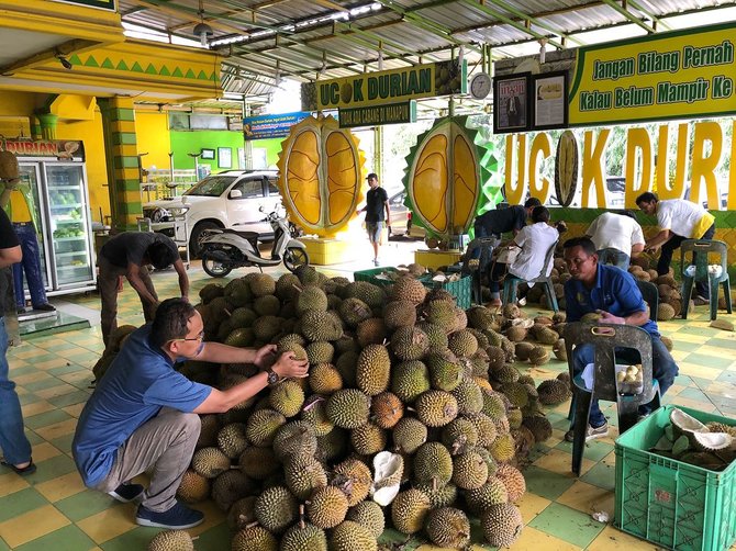 kisah sukses pemilik ucok durian medan putus sekolah dan jadi buruh angkut durian