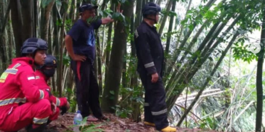 Kawanan Monyet Liar Menyerang Kuningan, Damkar Usir Pakai Cara Unik Ini
